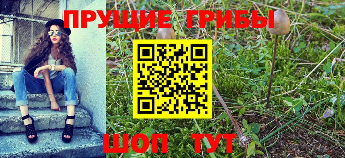 Псилоцибиновые грибы прущие грибы  Воскресенск 