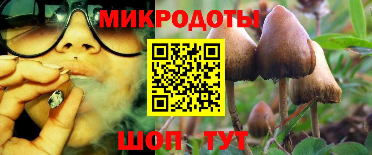 Псилоцибиновые грибы прущие грибы Воскресенск