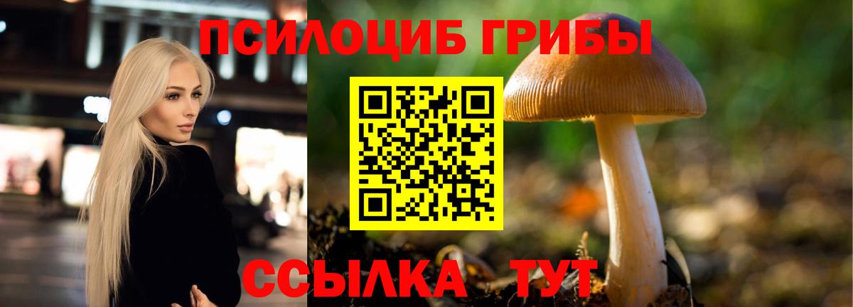 Воскресенск  Галлюциногенные грибы Psilocybine cubensis  Вход с VPN 